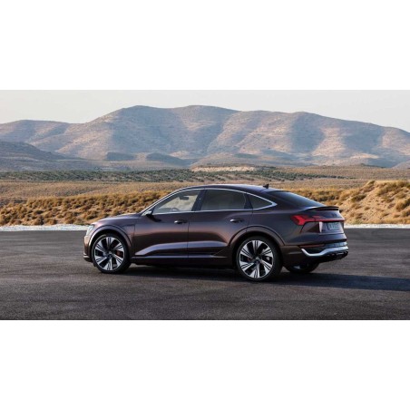 255/50R20 109W XL XNEX SP EV VELVET SIDE SILENT-TECH