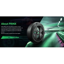 225/45R19 96W XL XNEX SP EV VELVET SIDE