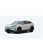 DONGFENG Aeolus Sky