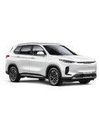 MAXUS 6
