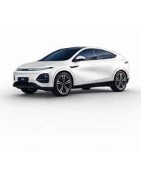 XPENG G6 Perf