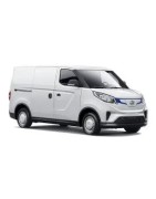 MAXUS EV30