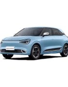 DFM Nammi 01