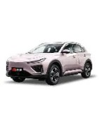 NETA X500 lite