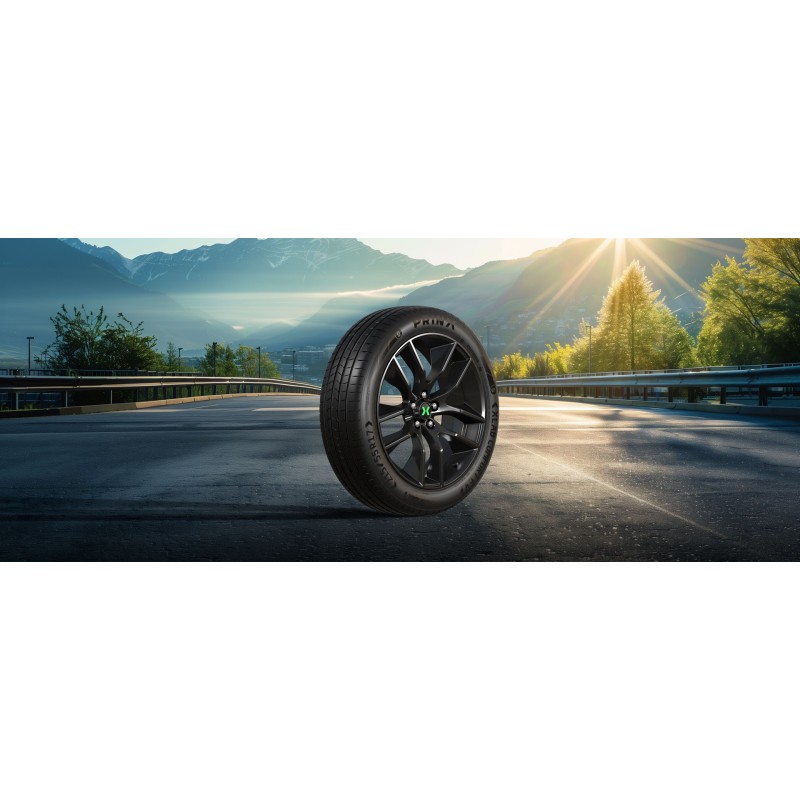225/55R17 101W XL XLAB CF EV
